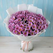 Букет цветов из:  Хризантемы в Северном Московской области