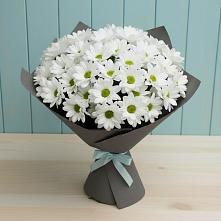 Букет цветов из:  Хризантемы в Северном Московской области